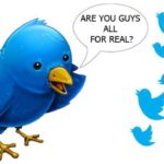 Twitter Fakers